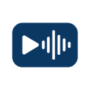 VidVoice Logo
